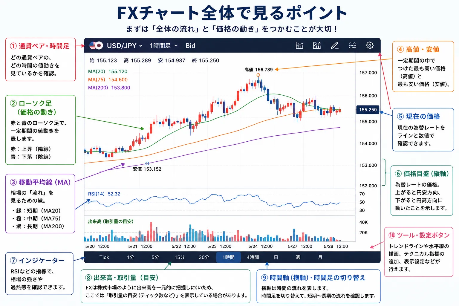 FXチャート全体で見るポイントを示した教材画像